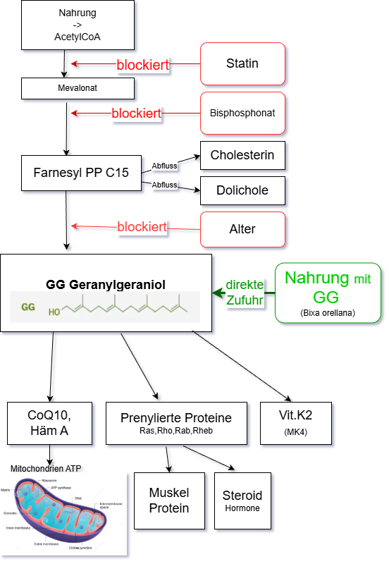 Pathways and hinderances to GG